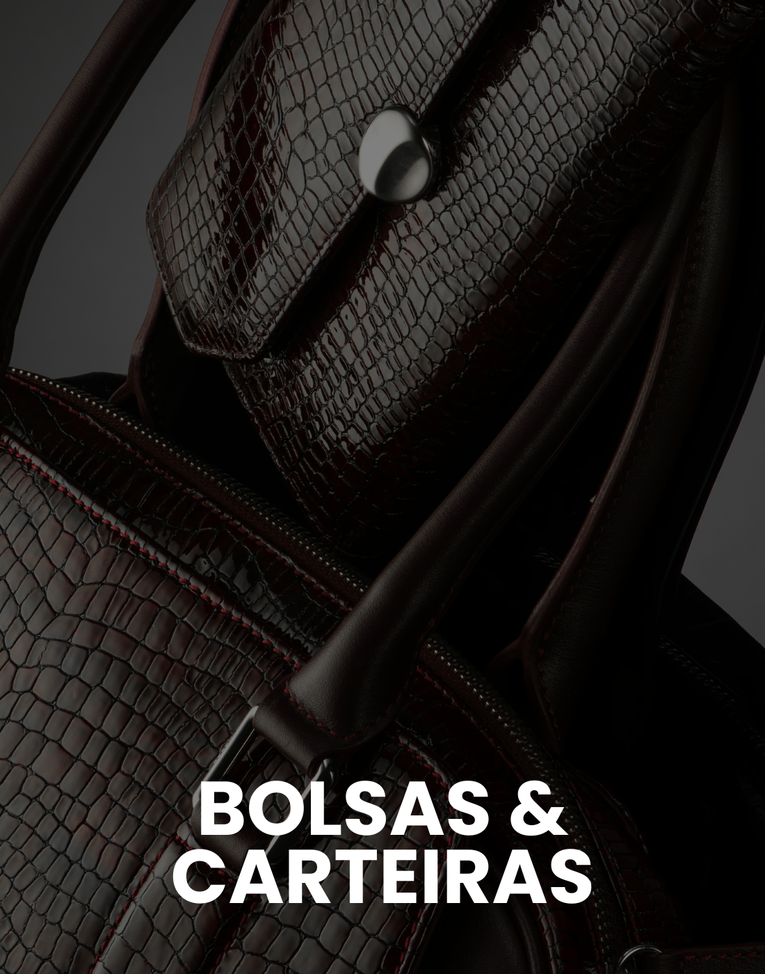 Bolsas & Carteiras